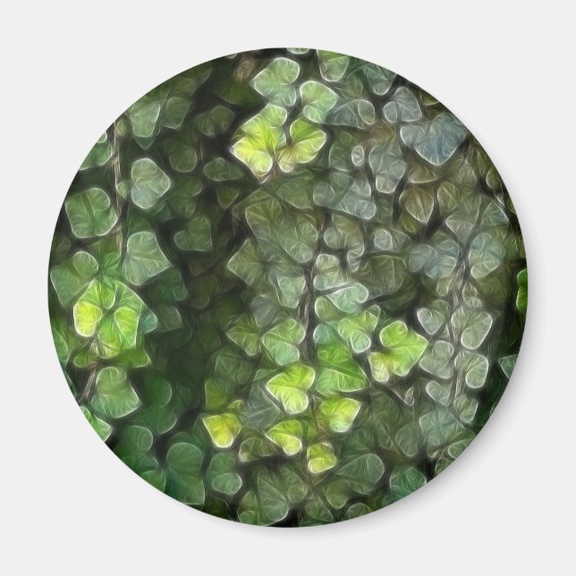 Íman Ivy Vine 6 (Frente)