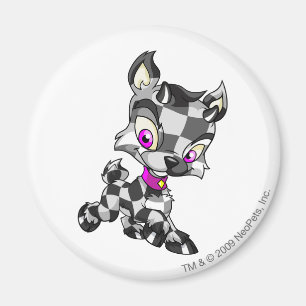 Íman Ixi Checkered
