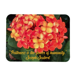 Íman Ixora Flexível Magnet De Fotografias Bloqueando