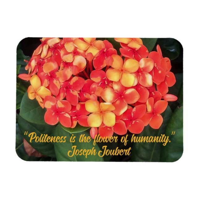 Íman Ixora Flexível Magnet De Fotografias Bloqueando (Horizontal)