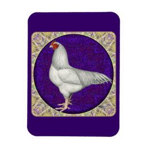 Íman Ixworth Rooster