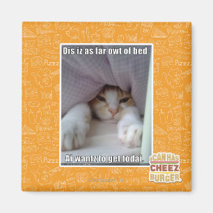 Íman Iz do Dis como distante o owt da cama.