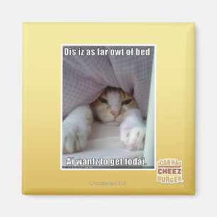 Íman Iz do Dis como distante o owt da cama.