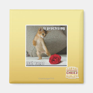 Íman Iz praticando mah tango