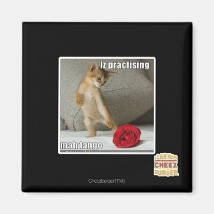 Íman Iz que pratica o tango do mah