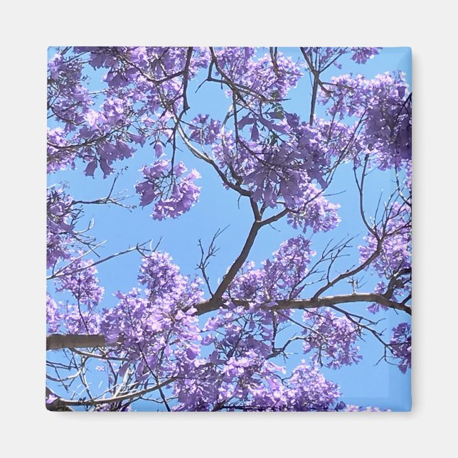 Íman Jacaranda Blossoms (Frente)