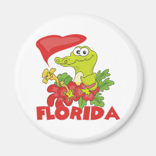 Íman Jacaré de Florida