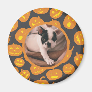 Íman Jack O Lantern Pattern Pumpkins com Pet Photo