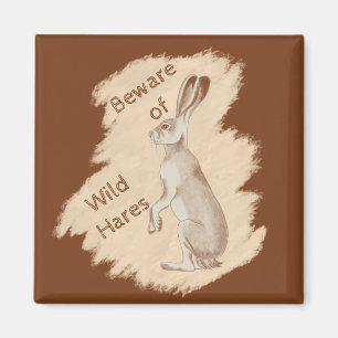 Íman Jack Rabbit e Amigos