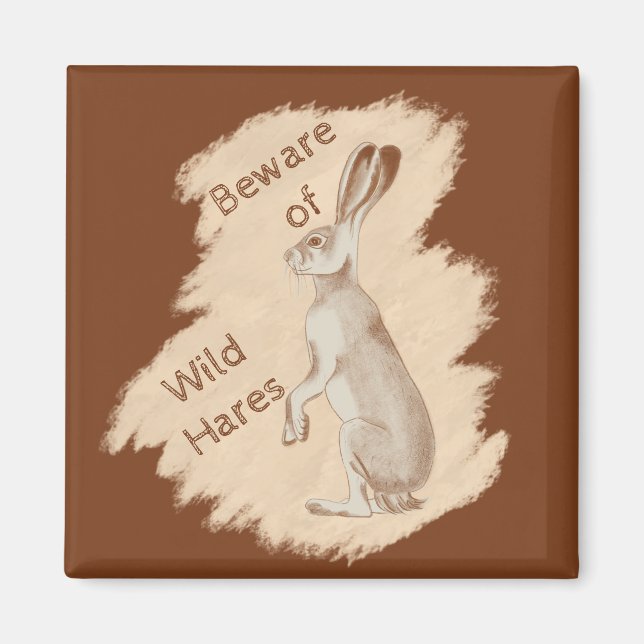 Íman Jack Rabbit e Amigos (Frente)