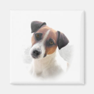 Íman Jack Russell Magnet