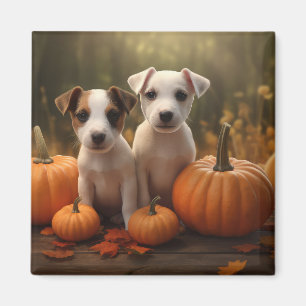 Íman Jack Russell Puppy Autumn Delight Pumpkin
