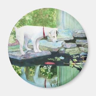 Íman Jack Russell Terrier #1 Magnet