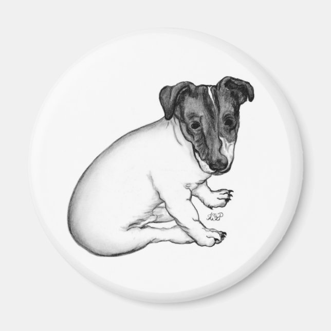 Íman Jack Russell Welpe 10 Wochen alt (Frente)