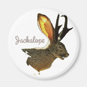 Íman Jackalope