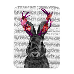 Íman Jackalope com traficantes cor-de-rosa