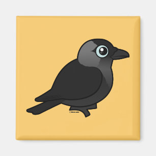 Íman Jackdaw