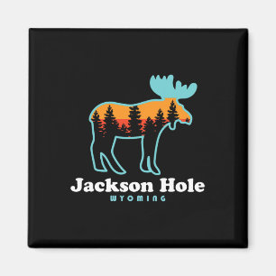 Íman Jackson Hole Wyoming Alces Montanhas Grand Tetons
