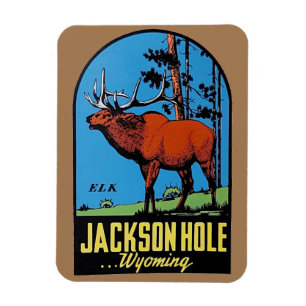 Íman Jackson Hole, Wyoming Magnet