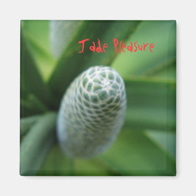 Íman Jade Pleasure (Frente)