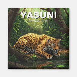 Íman Jaguar no Parque Nacional Yasuni, Equador