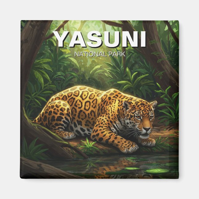 Íman Jaguar no Parque Nacional Yasuni, Equador (Frente)