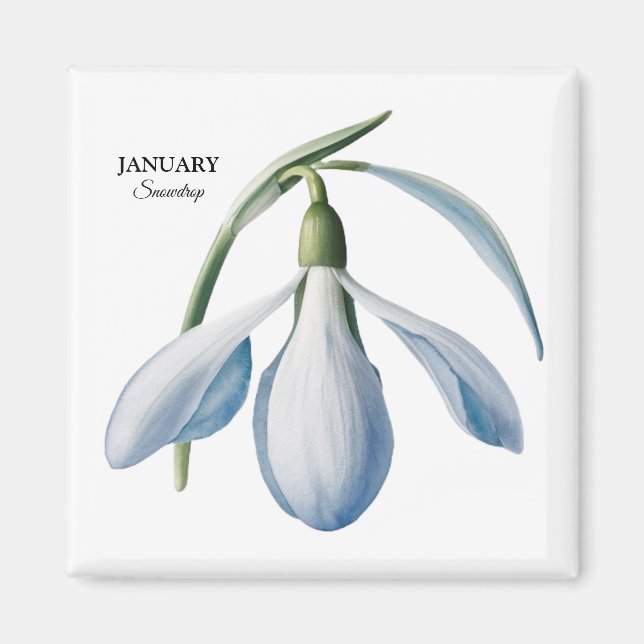 Íman Jan Snowdrop Bloom - Presente Personalizado (Frente)