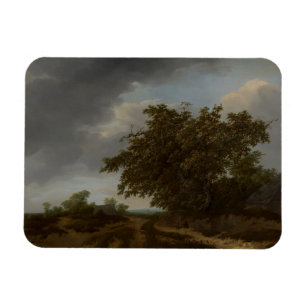 Íman Jan Vermeer, Paisagem na Borda das Dunas