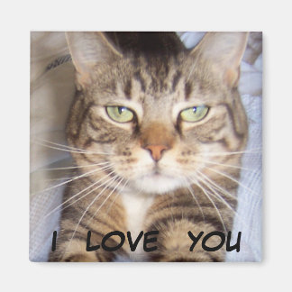 Íman Jane disse que eu te amo