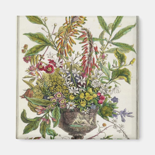 Íman janeiro, de ‘Doze Meses de Flores’ (Frente)