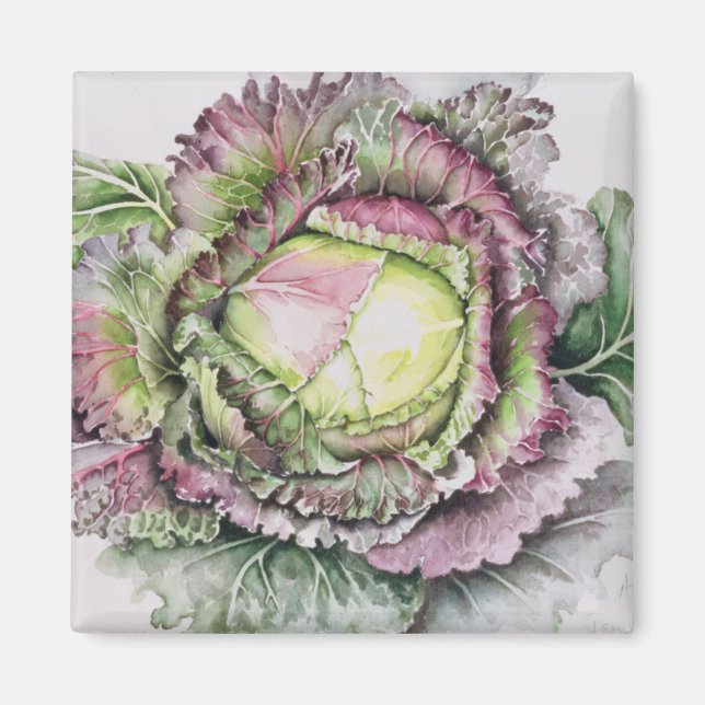 Íman Janeiro King Cabbage (Frente)