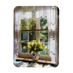 Íman Janela com cortina de rendas e tulipas