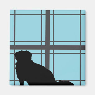 Íman Janela de Nicky