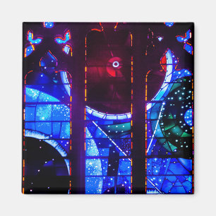 Íman Janela Espacial na Catedral Nacional de Washington