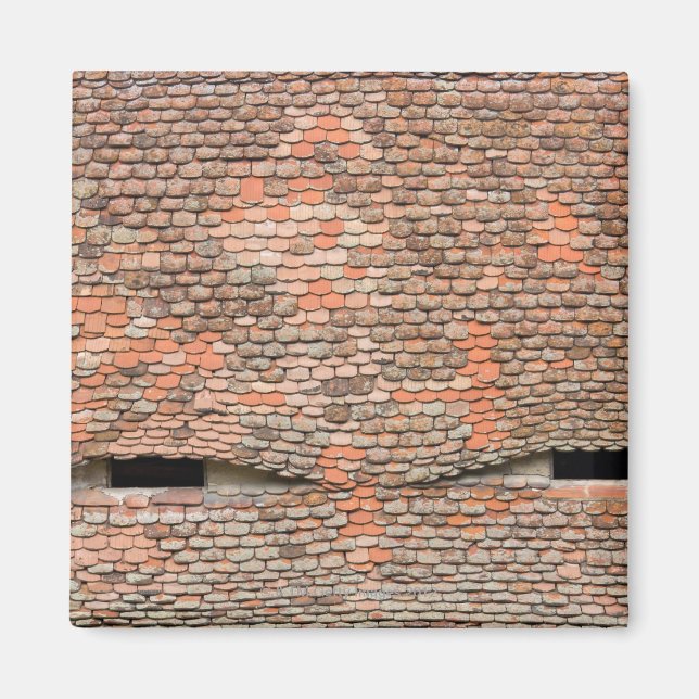 Íman Janelas adormecidas no telhado (Frente)