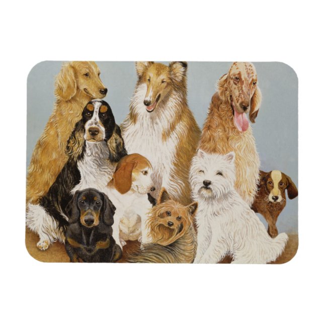 Íman Janto de cães (Horizontal)