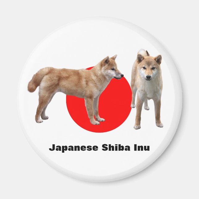 Íman Japanese Shiba Inu (Frente)