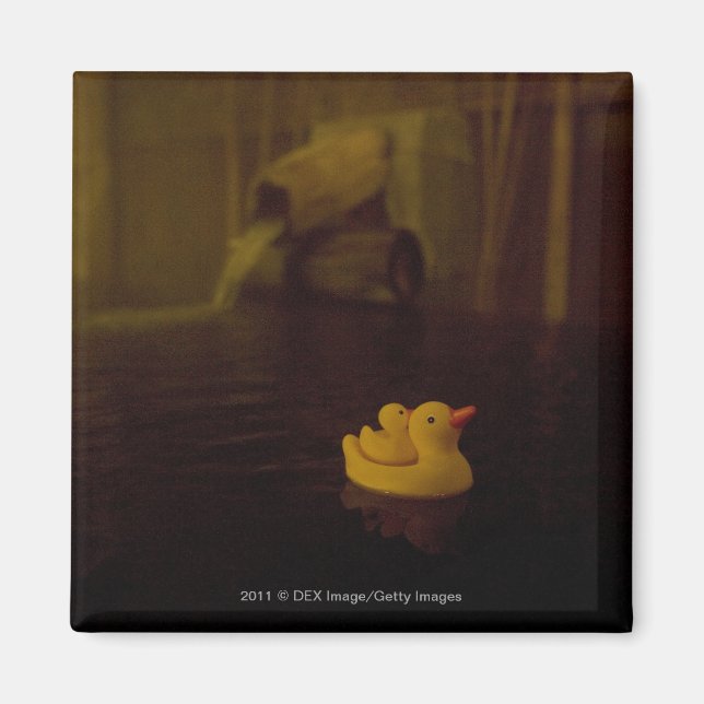 Íman Japão (Frente)