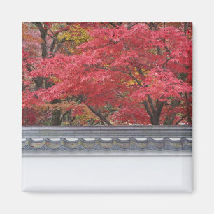 Íman Japão, Kyoto, cor do outono no Templo de Eikando