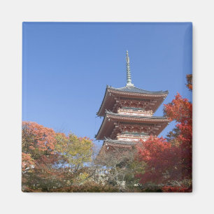 Íman Japão, Quioto, Pagode em cores de outono