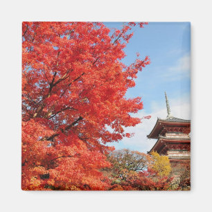 Íman Japão, Quioto. Templo Kiyomizu em cores de outono