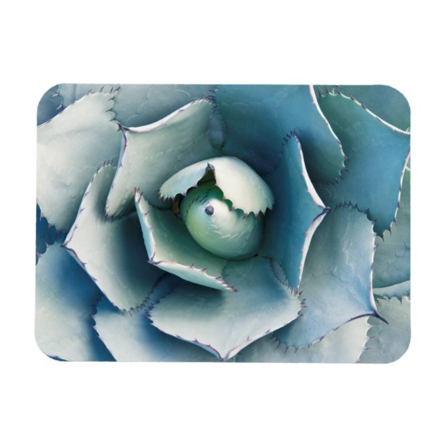 Íman Jardim Botânico de Huntington (Horizontal)