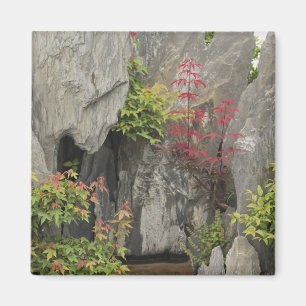 Íman Jardim da família Bao, Huangshan, China.