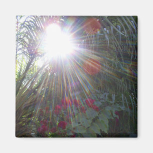 Íman Jardim da luz solar