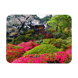 Íman Jardim de Chá Japonês de São Francisco #12 Magn