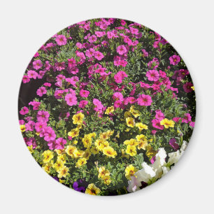 Íman Jardim de flores