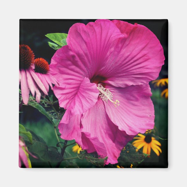 Íman Jardim de Flores Hibisco e Amigos  (Frente)