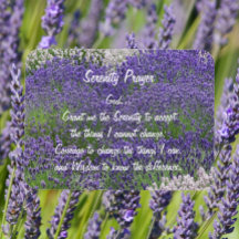 Jardim de Lavanda da Serenidade Inspiradora