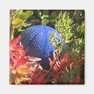 Íman Jardim de Plantas Submarinas com Magneta Orb