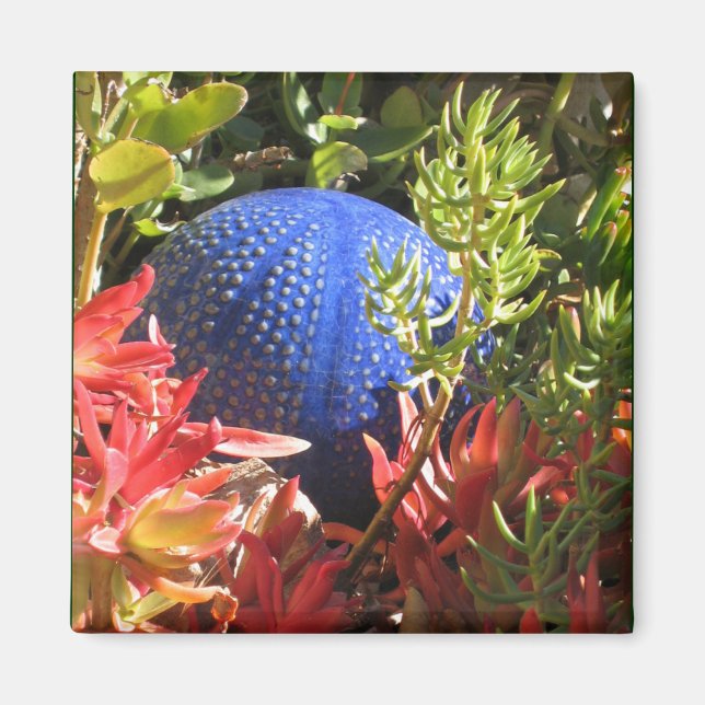 Íman Jardim de Plantas Submarinas com Magneta Orb (Frente)